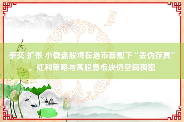 拳交 扩张 小微盘股将在退市新规下“去伪存真”，红利策略与高股息板块仍空间稠密